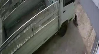 Kedi ezen sürücüye hayvan barınağında çalışma cezası
