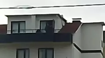 Kocaeli'de FETÖ operasyonu: Saklandığı çatıda yakalandı