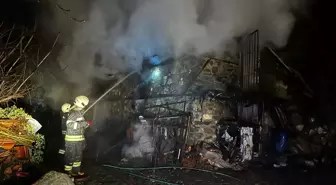 Muğla'da ahırda çıkan yangında 8 küçükbaş hayvan ile bir eşek telef oldu