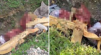 Sakarya'da çalılık alana hayvan kemiği attığı tespit edilen 2 şüpheli yakalandı
