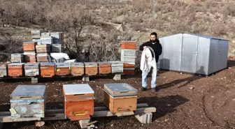 Şırnak'ta ürettiği balla Paris'ten sonra Londra'dan da ödülle dönmek istiyor