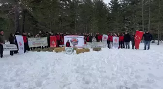 Vakıflar Genel Müdürlüğü tarafından yaban hayvanları için doğaya yem bırakıldı