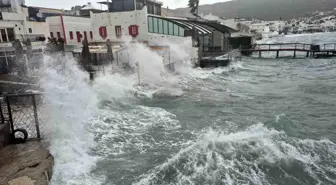 Bodrum'da tekneler karaya vurdu, feribot seferleri yapılamadı