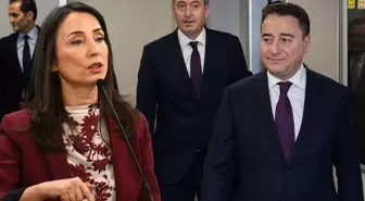 DEM Parti heyetinden Babacan'a ziyaret! Tülay Hatimoğulları'ndan bir çağrı var