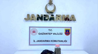 Gaziantep'te 4 kilo skunk ele geçirildi: 1 şahıs tutuklandı