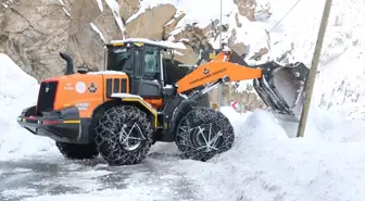 Hakkari-Van kara yolunda düşen çığlar temizlendi