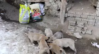 İstanbul'dan Erzurum'a uzanan yardım eli