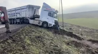 Mardin'de kontrolden çıkan tır yol kenarına savruldu