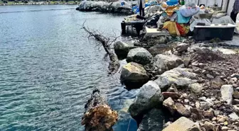 Marmara Denizi'nde feribot trafiği için tehlike oluşturan yüzen ağaç kıyıya çekildi