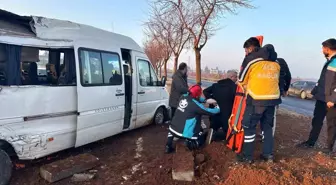 Şanlıurfa'da işçi servisi ağaca çarptı: 7 yaralı