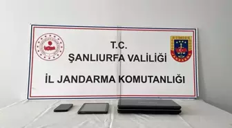 Şanlıurfa'da nitelikli dolandırıcılık operasyonu: 1 gözaltı