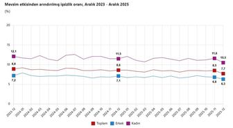 TÜİK: İşsizlik oranı aralıkta azaldı