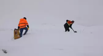Başkale'de yaban hayvanları için doğaya yem bırakıldı