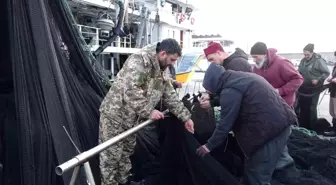 İğneada ve Gürcistan açıklarındaki hamsi avı beklentileri karşılamayınca balıkçılar erken paydos etti