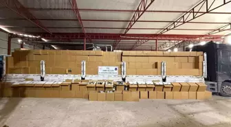 İzmir'de 12 milyon 720 bin kaçak makaron ele geçirildi