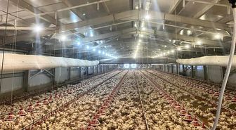 Kırsalda üretime 33,6 milyon liralık can suyu