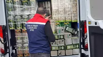 Köşk'te sahte zeytinyağı operasyonu: 3 ton yağa el konuldu