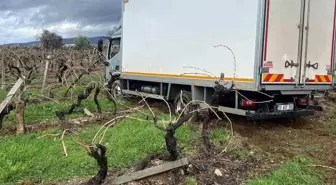 Sabıkalı yolda kamyon üzüm bağına girdi