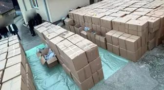 Sırbistan'da uyuşturucuya tarihi darbe: 5 ton esrar ele geçirildi