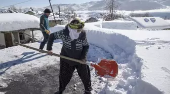 Tunceli'de köylüler damlarda kar atma ve 'loğ' çekme mesaisinde