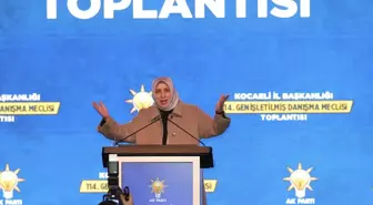 AK Parti Grup Başkanvekili Zengin, Kocaeli'de konuştu Açıklaması