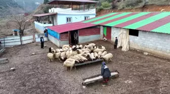 Depremzede besici devlet desteğiyle hayata tutundu