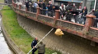 Dere yatağında mahsur kalan köpek itfaiye ve vatandaşın yardımıyla kurtarıldı