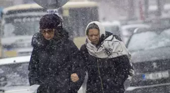 Erzurum ve Kars'ta kar etkili oldu