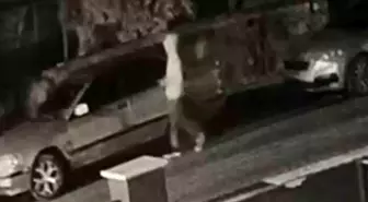 Eskişehir'de 7 araç camını kırıp hırsızlık yapan şahıs tutuklandı