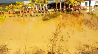 İzmir sağanağa teslim: Yollar ve tarım arazileri sular altında