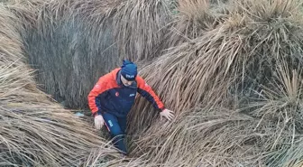 Kayıp kadını arama çalışmaları 10'uncu gününde; 120 kilometrekarelik alan tarandı