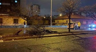 Kaza savrulan otomobil ağacı ikiye böldü: 4 yaralı