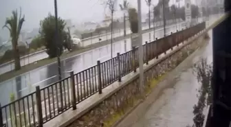 Kontrolden çıkan otomobil refüjdeki ağaca çarpıp takla attı