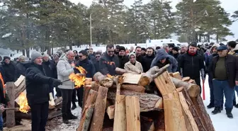 Sivas'ta çam ormanlarıyla kaplı Eğriçimen Yaylası'nda kış festivali düzenlendi