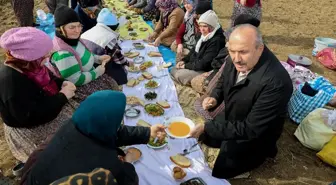 Taşköprü Belediye Başkanı Arslan'dan sarımsak tarlasında çalışan işçilere ziyaret