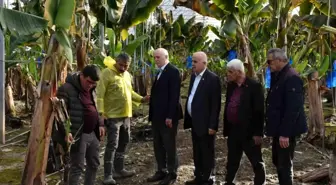 TZOB Genel Başkanı Bayraktar: 'Doğal afetler tarım sektörünü her geçen yıl daha fazla etkilemektedir'