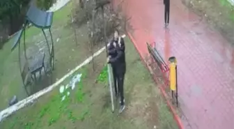 Adana'da çocuklar parktaki kuş yuvasını parçaladı: o anlar kamerada