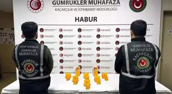Habur'da ayakkabı içerisinde 41 kilo altın ele geçirildi