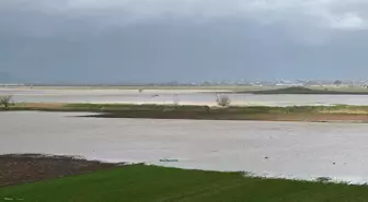 İzmir'de yağışlar çiftçinin yüzünü güldürdü