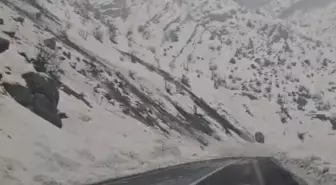 Kopan dev kaya parçası yola düştü; o anlar kamerada