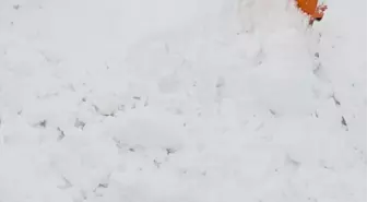 Muş-Kulp kara yolunda yol açma çalışması yapan iş makinesinin üzerine çığ düştü