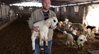 6 ŞUBAT DEPREMLERİNİN ÜÇÜNCÜ YILI- Depremzede besici, devlet desteğiyle sürüsünü büyüttü