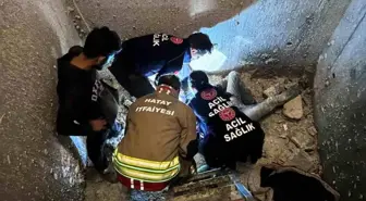 Antakya'da asansör boşluğuna düşen işçi yaralandı