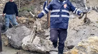 Aydın'da sel ve toprak kayması nedeniyle 44 küçükbaş telef oldu