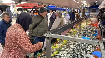 Balık tezgahlarında hamsi yok, vatandaş diğer balıklara yöneldi