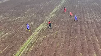Diyarbakır'da kaybolan kadını arama çalışmaları 12'nci gününde sürüyor
