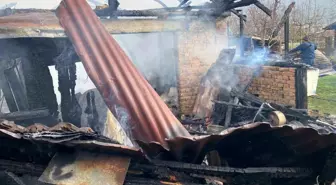 Karabük'te müştemilat yangını: 2 köpek yavrusu telef oldu