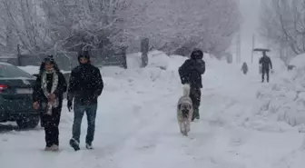 Karlıova'da kar yağışı etkisini sürdürüyor