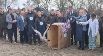 Samsun Kızılırmak Deltası'nda yaban hayvanları doğaya salındı