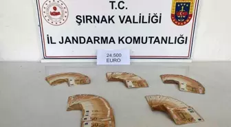 Şırnak'ta jandarmadan kaçakçılığa büyük darbe